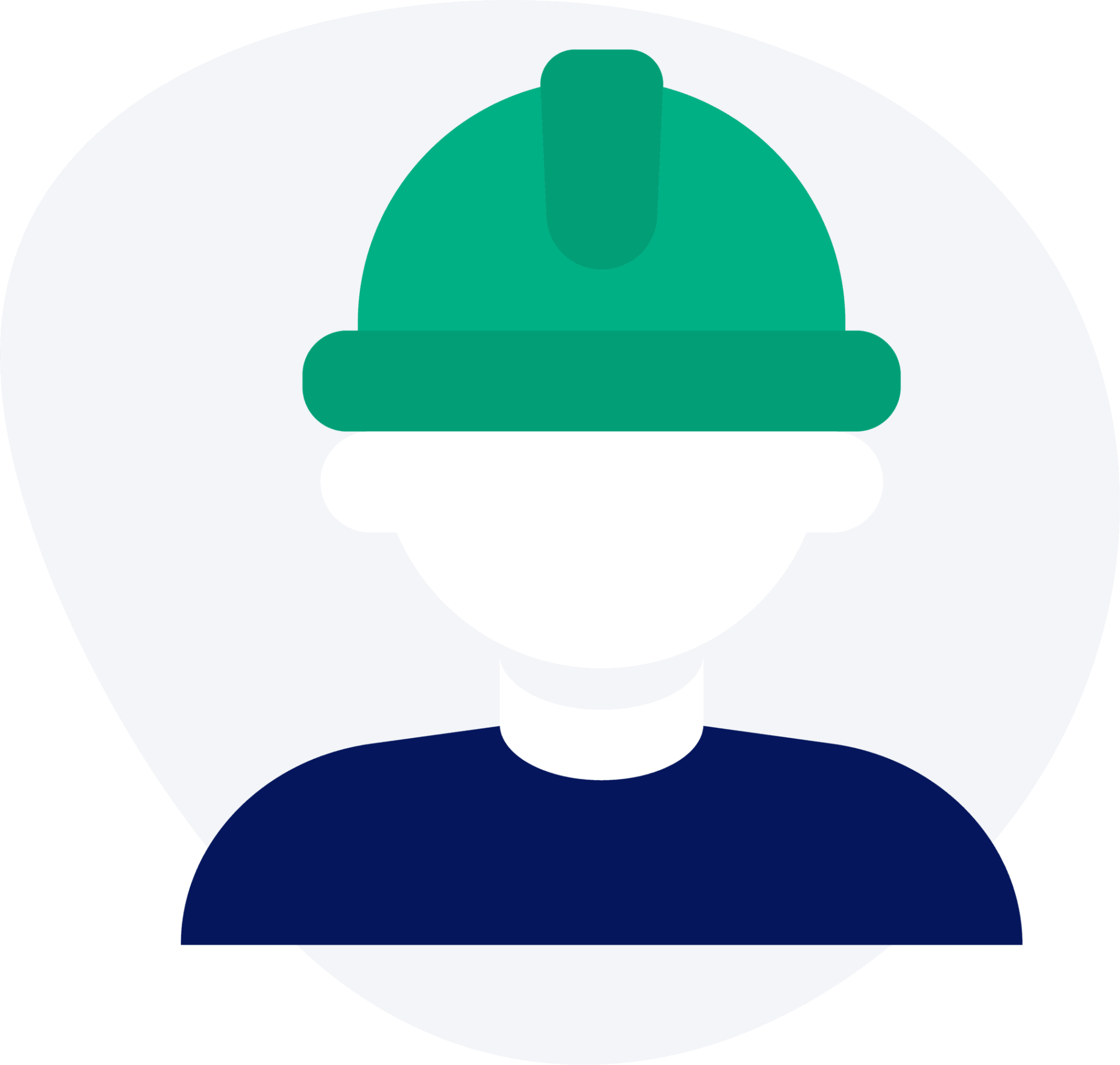 Bird Repellent System